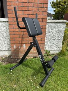 Back Extension (Roman Chair)
