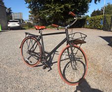 Priority Men's Bike