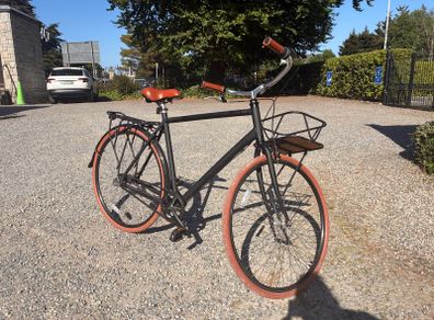 Priority Men's Bike