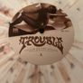 Trouble - Victim of the Insane: Demos & Rarities Part 2 Image 6
