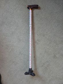 Walking Stick