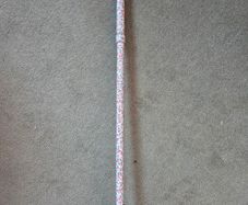 Walking Stick