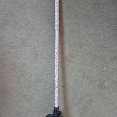Walking Stick