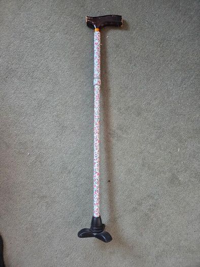Walking Stick