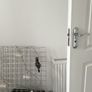 Set of 03 garden fence 120cm each Image 3
