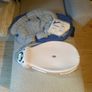 Baby weighing Scale Image 2