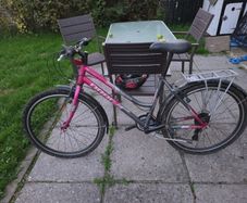Ladies Bike