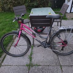 Ladies Bike