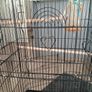bird cage Image 4