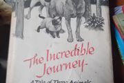vintage Novel