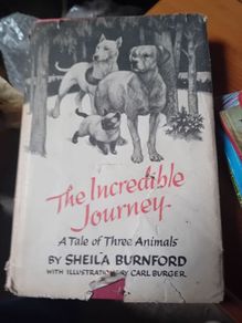 vintage Novel