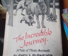 vintage Novel
