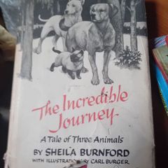 vintage Novel