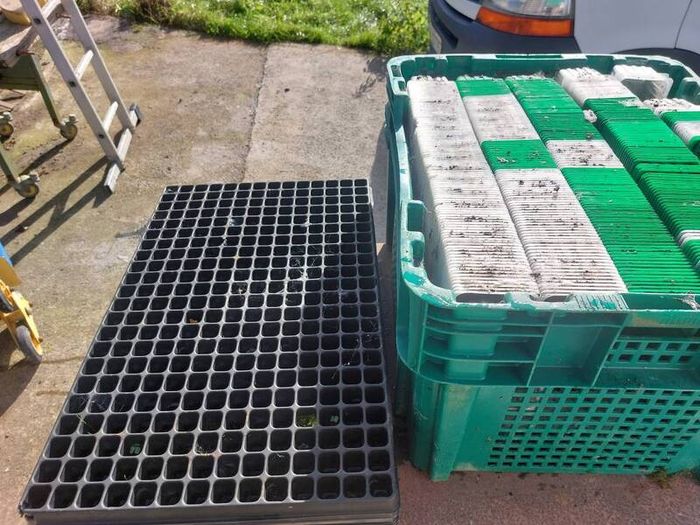 Free Seedling Trays & Planting Containers