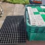 Free Seedling Trays & Planting Containers Image 3