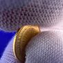 1991 Australia Kangaroo Gold coin 1/20oz Image 3