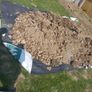 soil Image 2