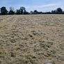 Small Bales of Hay Image 6