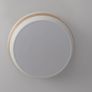 ceiling light (flush mount) Image 2