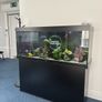 Fish tank Image 6