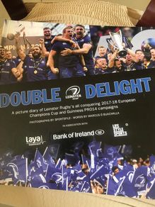 Leinster Rugby- Double Delight