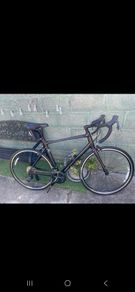 Giant contend 1