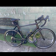 Giant contend 1
