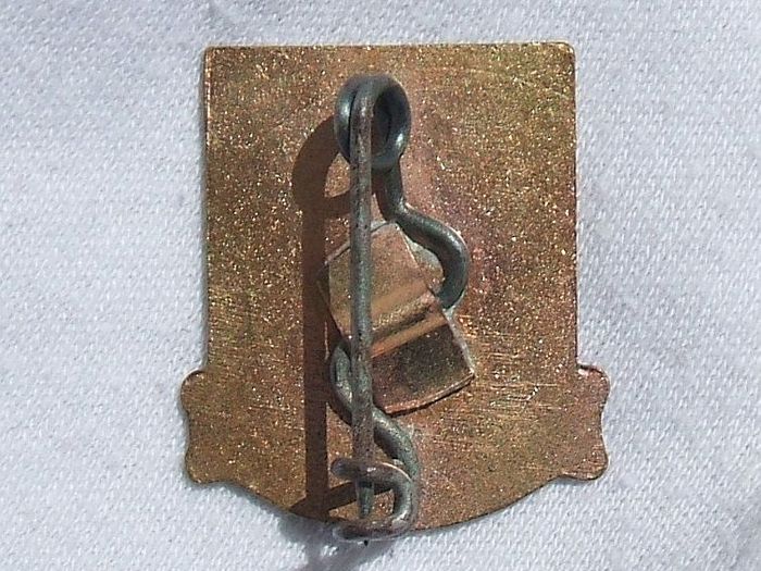 USAAF Technical Training Command (Sustineo Alas) air technician trainer's badge (WW2 period 1940s)