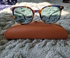 RayBan Elliot Sunglasses