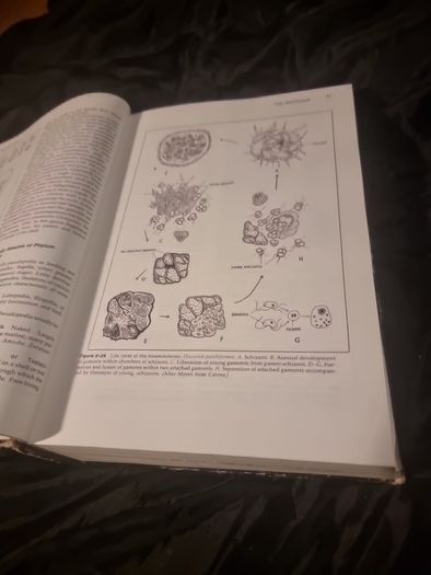 Invertibrate Zoology . 4th edition(Hardcover Illustrated Boards)