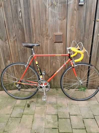 Raleigh Ti Team For Sale in Tallaght, Dublin from Buyer76