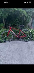 Lapierr sharper 1.0 large bike