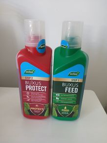 Feed and Protect for buxus plants