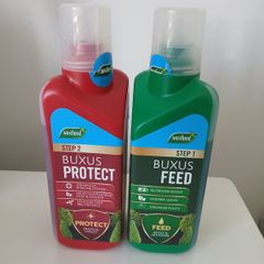 Feed and Protect for buxus plants