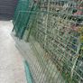 dog run Image 3