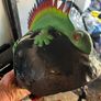 Helmets Image 4