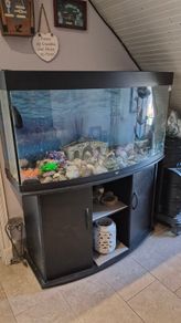 aquarium