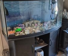 aquarium