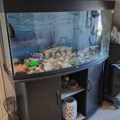 aquarium