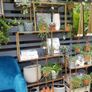 Avoca Gold Metal and Glass Display Shelf Image 6