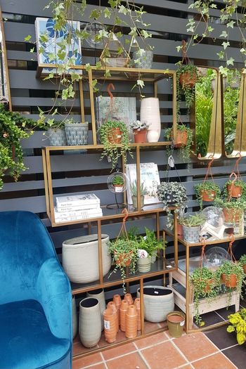 Avoca Gold Metal and Glass Display Shelf