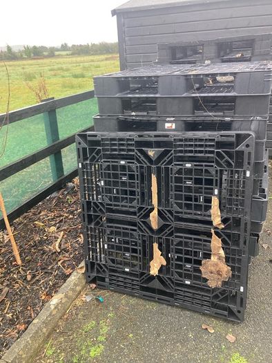 plastic pallets