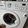 Zanuasi Bulit in Washing Machine Image 2