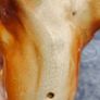 Stunning 15inch Staffordshire Lion Figure Image 9