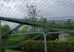 Poultry  enclosure  Netting