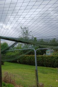 Poultry  enclosure  Netting