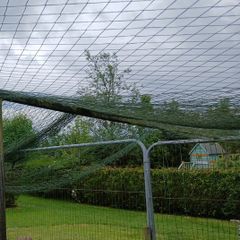 Poultry  enclosure  Netting