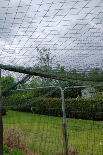 Poultry  enclosure  Netting