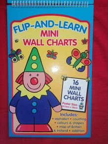 16 Mini Wall Charts (spiral bound)