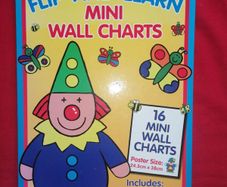 16 Mini Wall Charts (spiral bound)